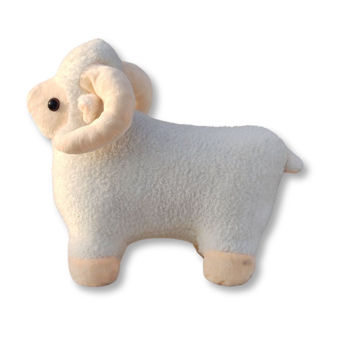 Premium Woolen Sheep - White